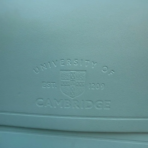 The Cambridge Satchel Company Leather Bag - Picture 2 of 14